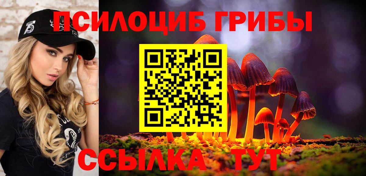 Псилоцибиновые грибы Psilocybine cubensis Мелеуз